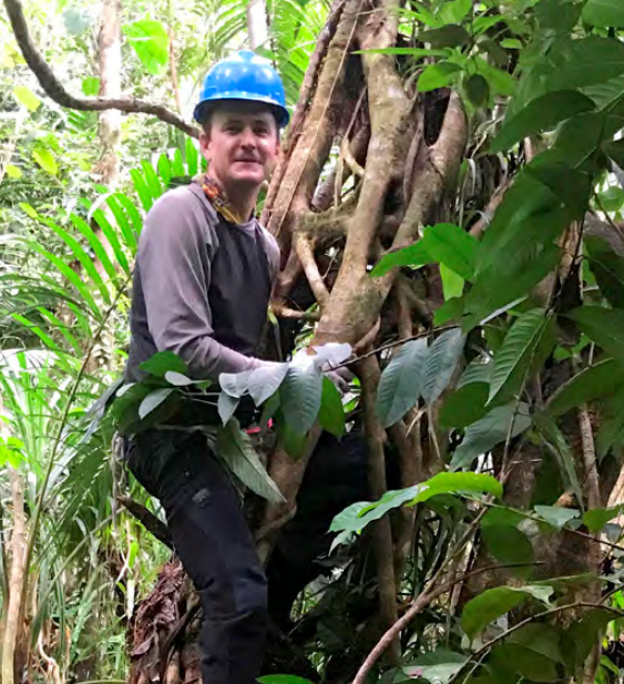 A man in a blue hard hat climbing a tree in a jungle