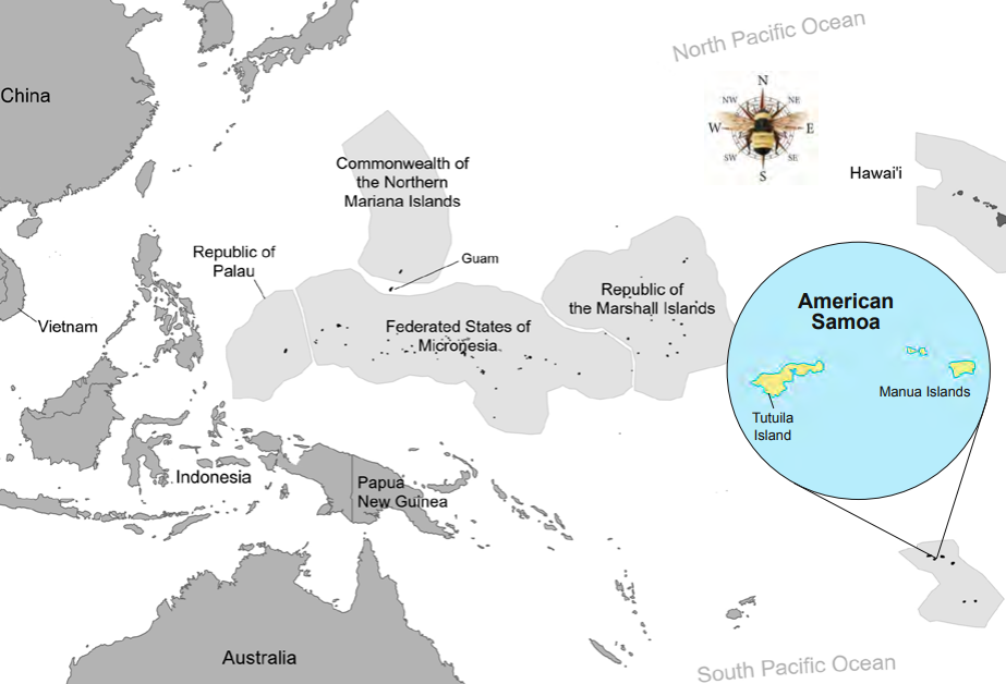 A map of Pacific islands. American Samoa is highlighted in the southeastern region of the map.