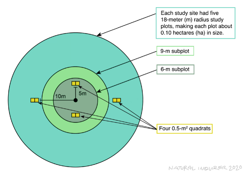 An illustration showing the location of study plots