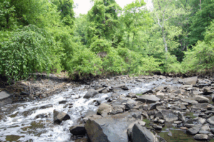 A fall line in the Gwynn Falls watershed. 