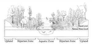 An illustration showing uplands, riparian zones, aquatic zones on a waterway.
