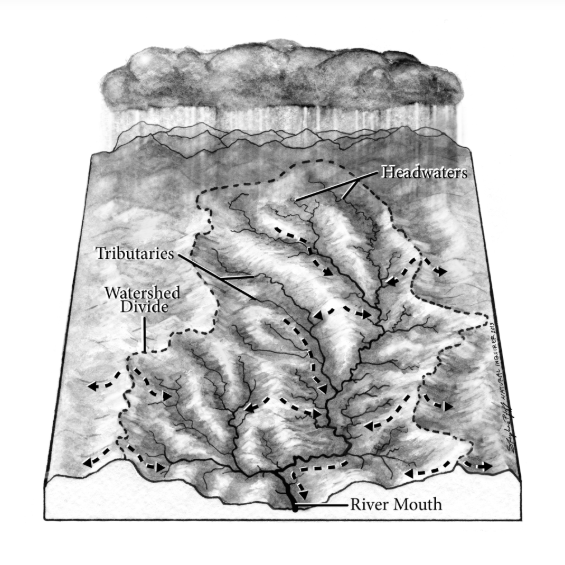 An illustration of a watershed