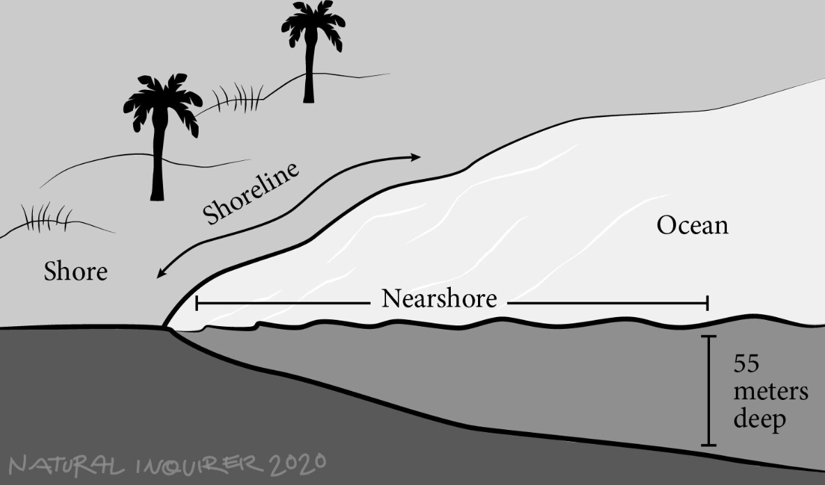 An illustration showing the shoreline and the nearshore area. The nearshore area stretches into the water until the water reaches a depth of 55 meters.
