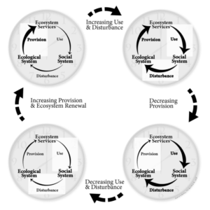 An illustration is a model representing what can happen to ecosystems when people use natural resources.