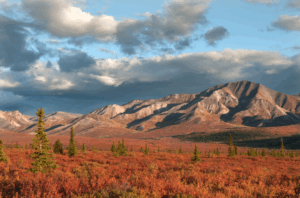 A national park. There is a desert landscape with mountains in the background