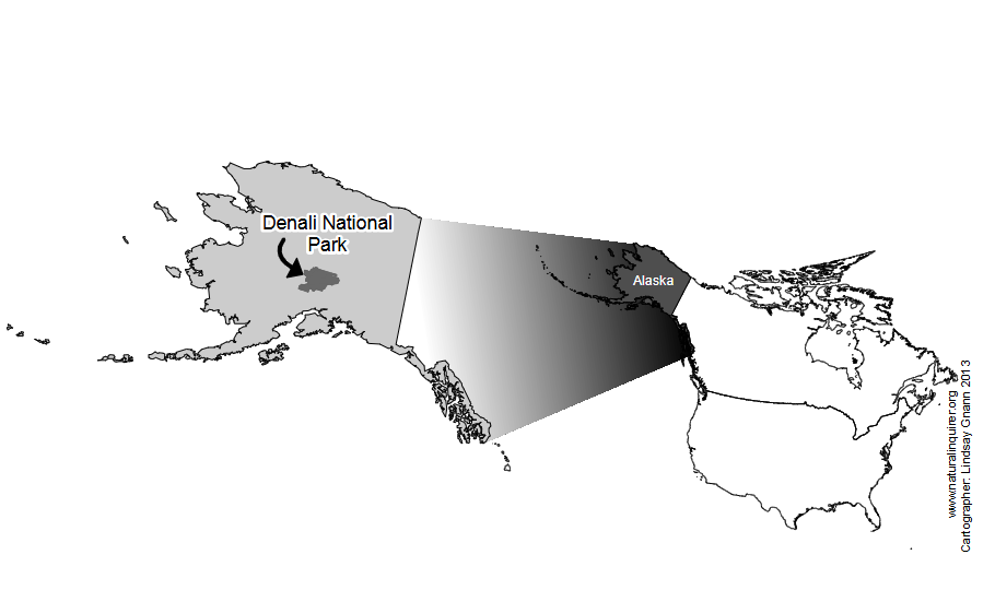 A map of Alaska highlighting Denali National Park