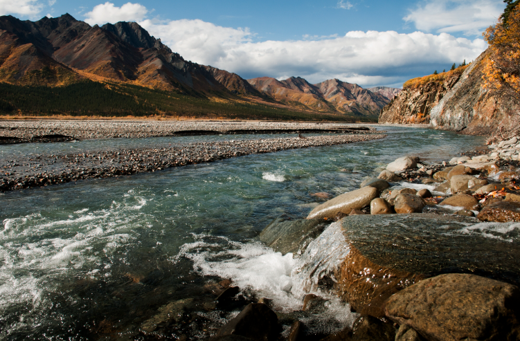 A river running through Denali Nationals Park with mountanis in the background