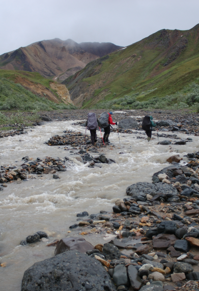 Hikers walking through a stream in Denali National Park with mountains in the background