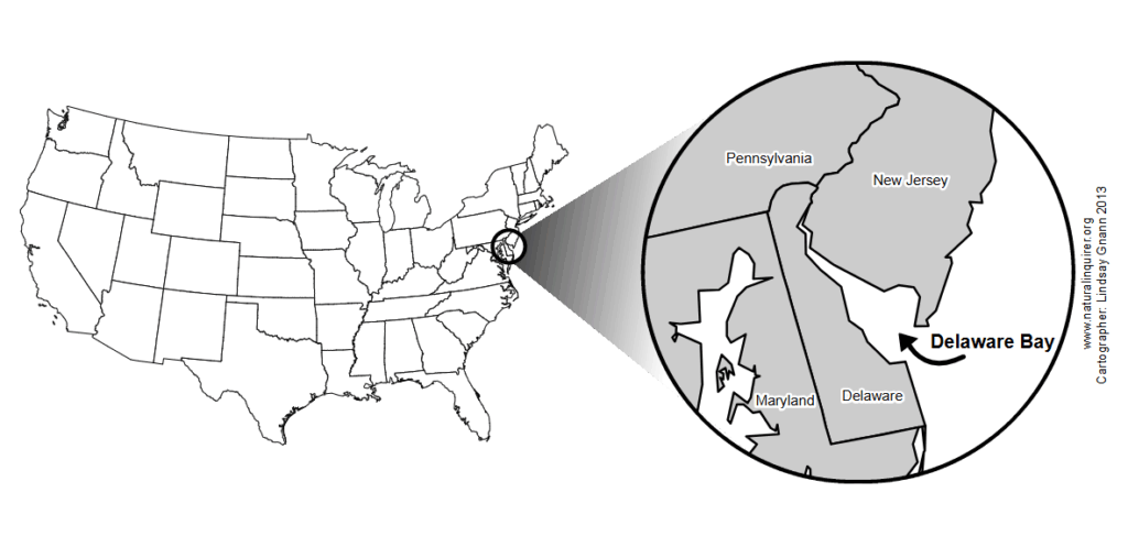 A map of the United States highlighting Delaware Bay