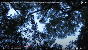 Youtube thumbnail featuring a tree canopy