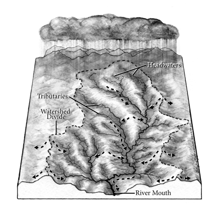 Illustration of a watershed