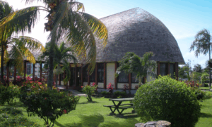 A thatched roof building surrounded by palm trees and a picnic table.