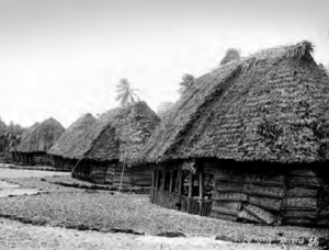 A black and white photo of buildings made of plant material