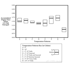 A box plot graph of accumulated degrees when 125 salmon emerged