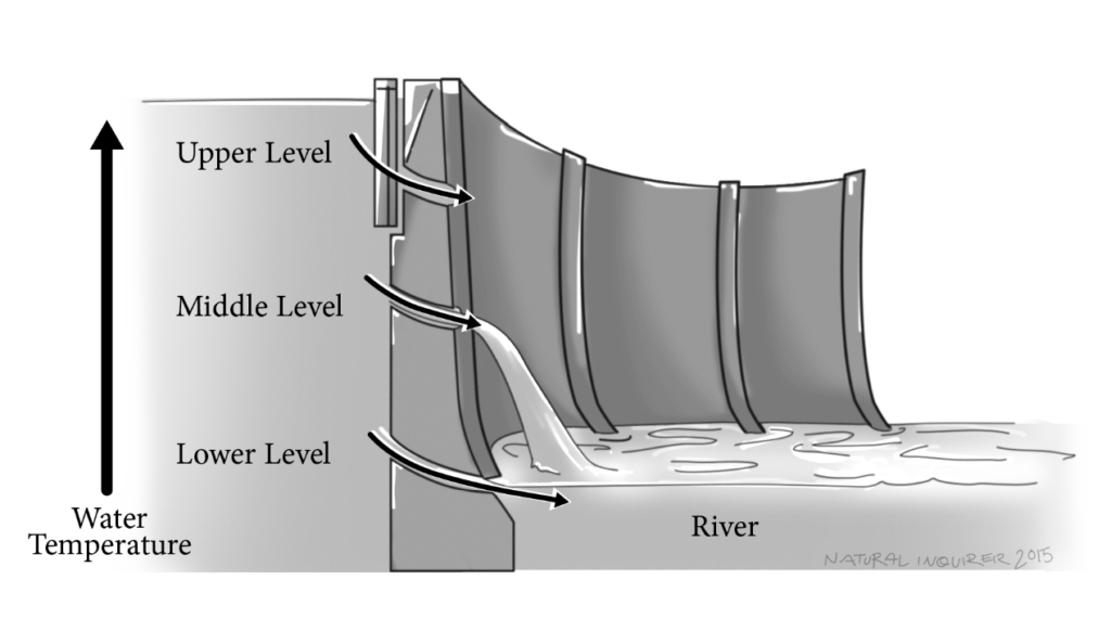 Illustration of a dam at different water levels
