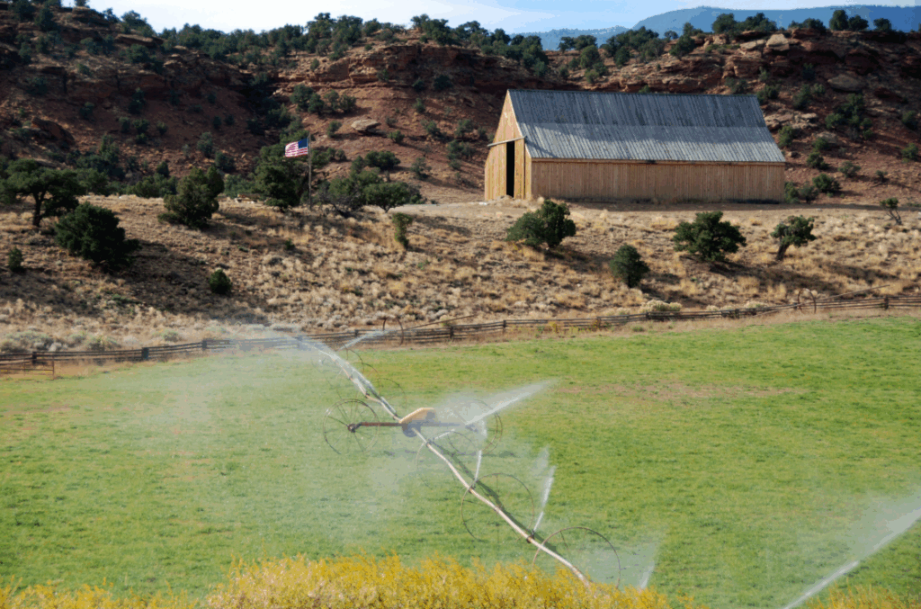 Irrigation being used in an open field