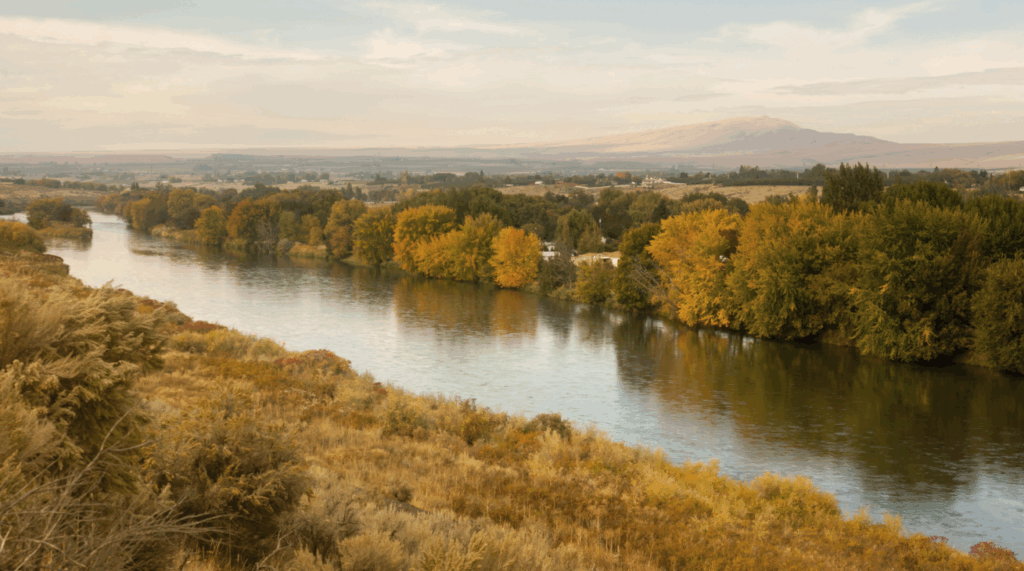 A section of the Yamika river