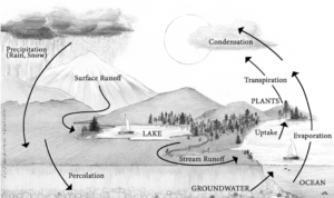An illustration of the water cycle