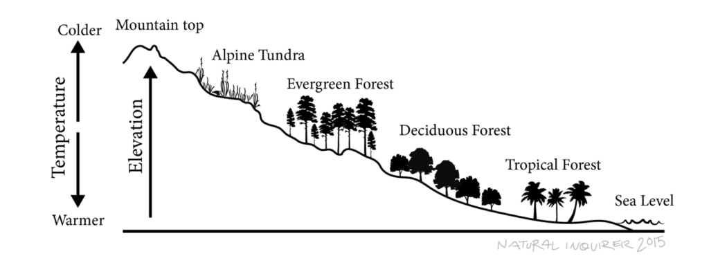 AN illustration showing how higher elevations experience colder temperatures