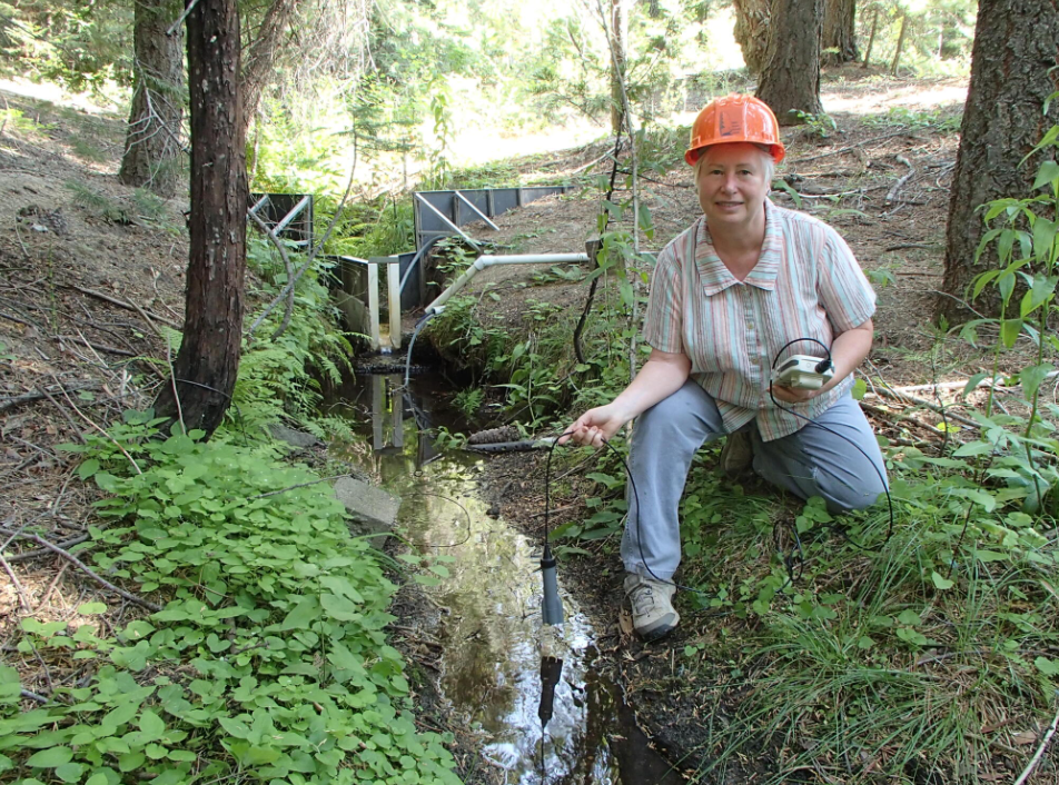 Dr. Hunsaker testing the water acidity, temperature, and amount of dissolved sunstances in a stream
