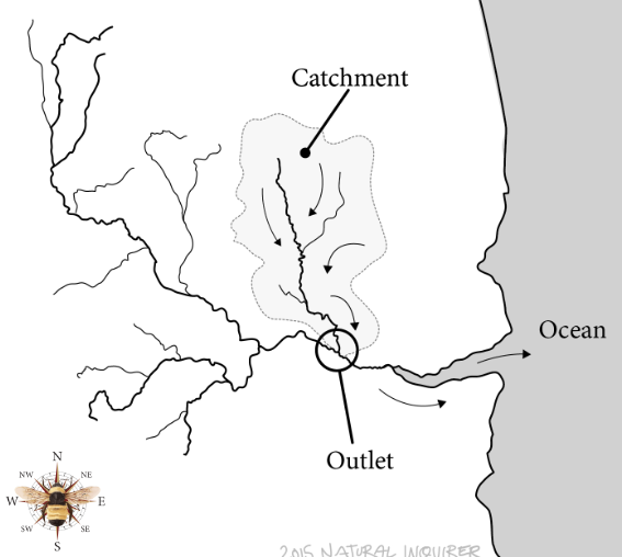 An illustration of a catchment and streamflow