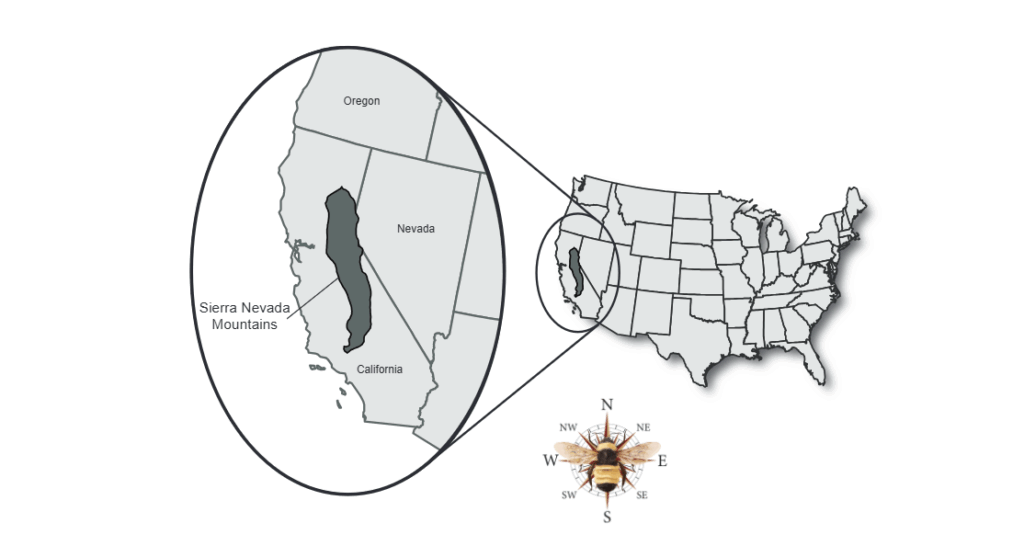 A map highlighting the Sierra Nevada mountain range in California