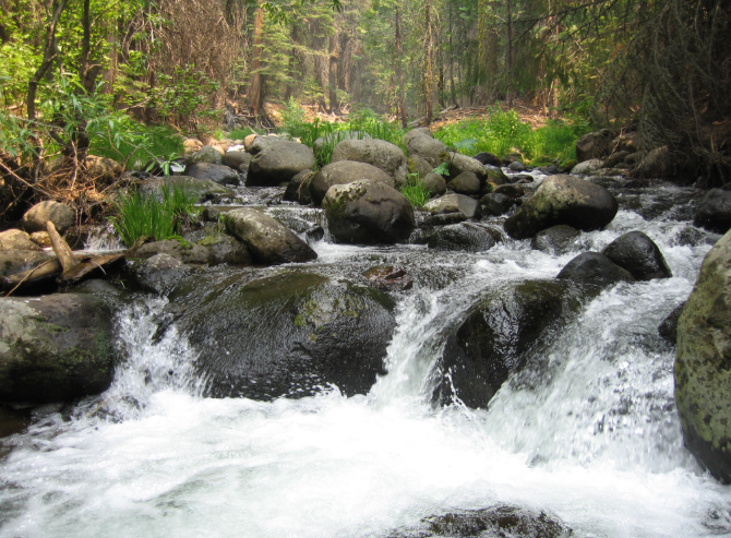 A rocky mountain stream