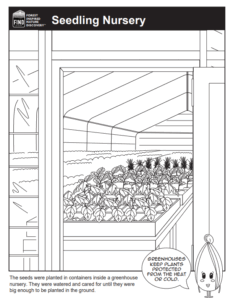 Illustration of a greenhouse nursery