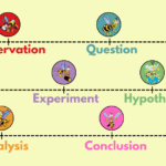 graphic of a timeline of the scientific method