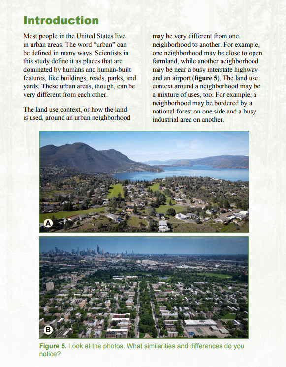 A sample introduction page from "Hidden in Plain Sight"