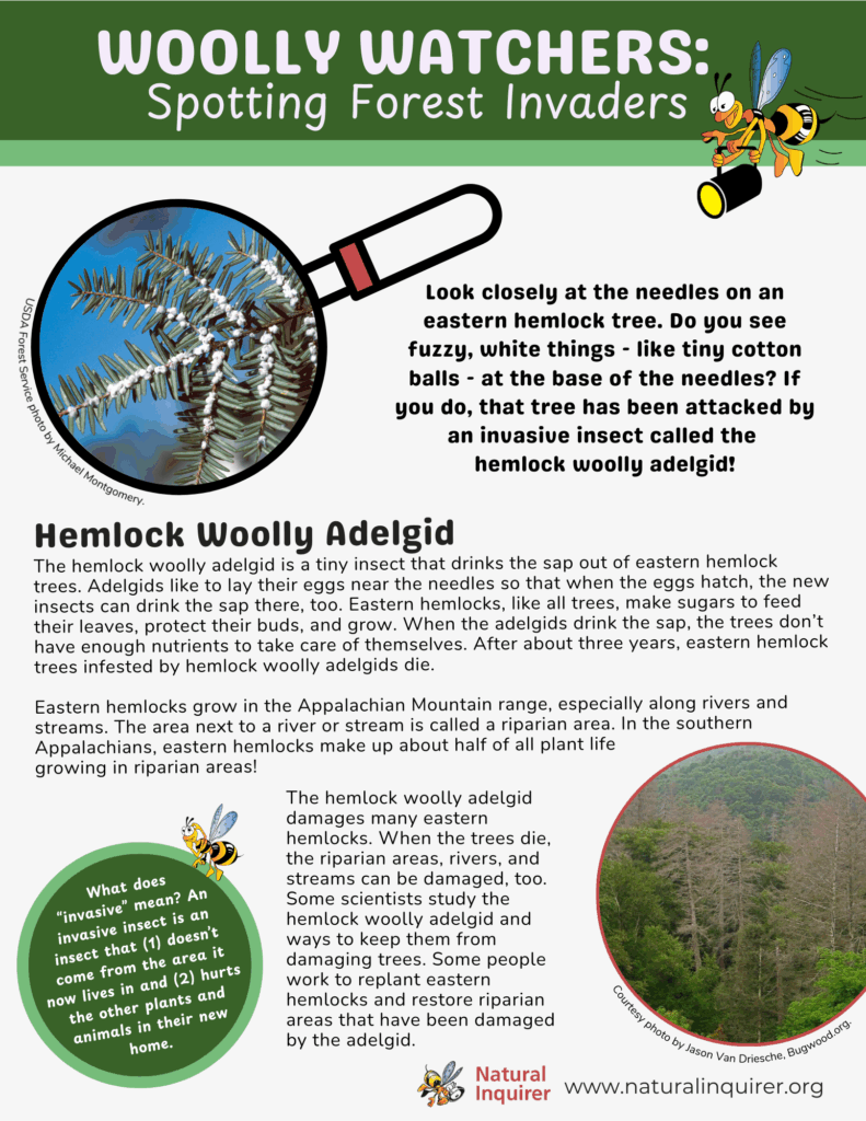 PDF preview of the Woolly Watchers worksheet