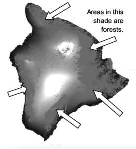 A map of Hawai'i showing where forest are