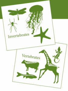 An illustration showing vertebrate and invertebrate species