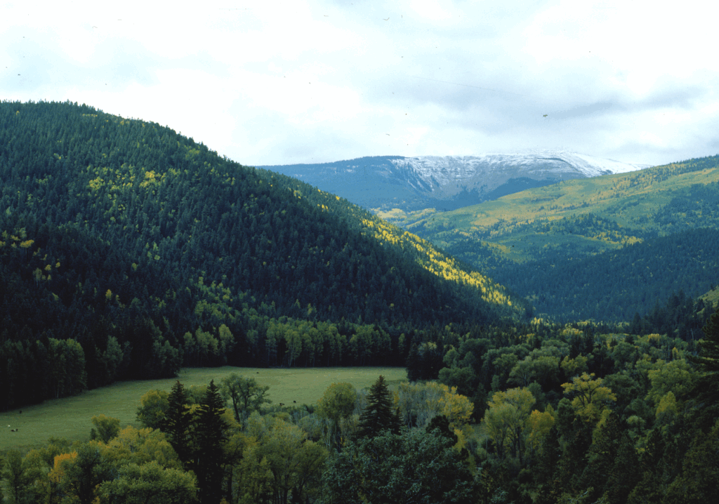 Santa Fe National Forest there are rolling hills and lots of trees