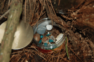 A geocache in the woods