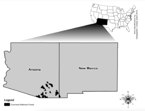 A map of the U.S. with Arizona and New Mexico highlighted