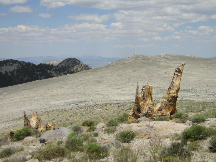 A hill covered in tephra