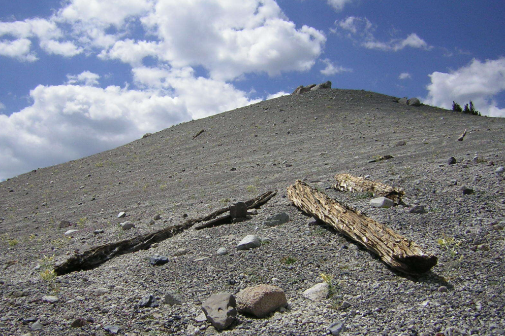 A mound of tephra partially covering tree trunks on the ground