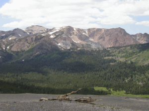 A mountainous area where trees are seen at the bottom and then the snow capped tops