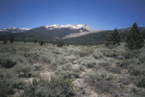 Whitewing mountain behind a grassy area of land