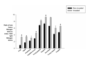 A bar graph of the results
