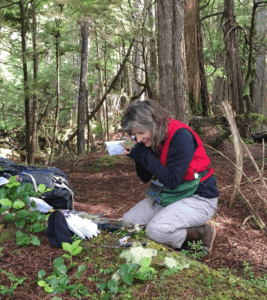 Dillman kneeling and observing lichen in a forest
