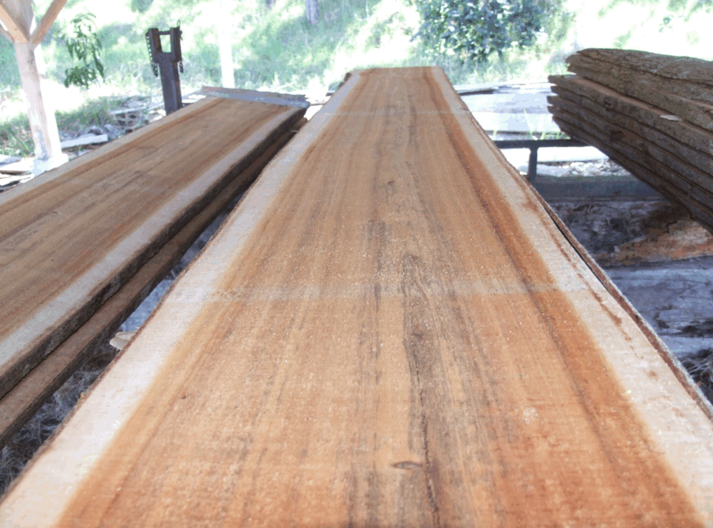 A slab of lumber