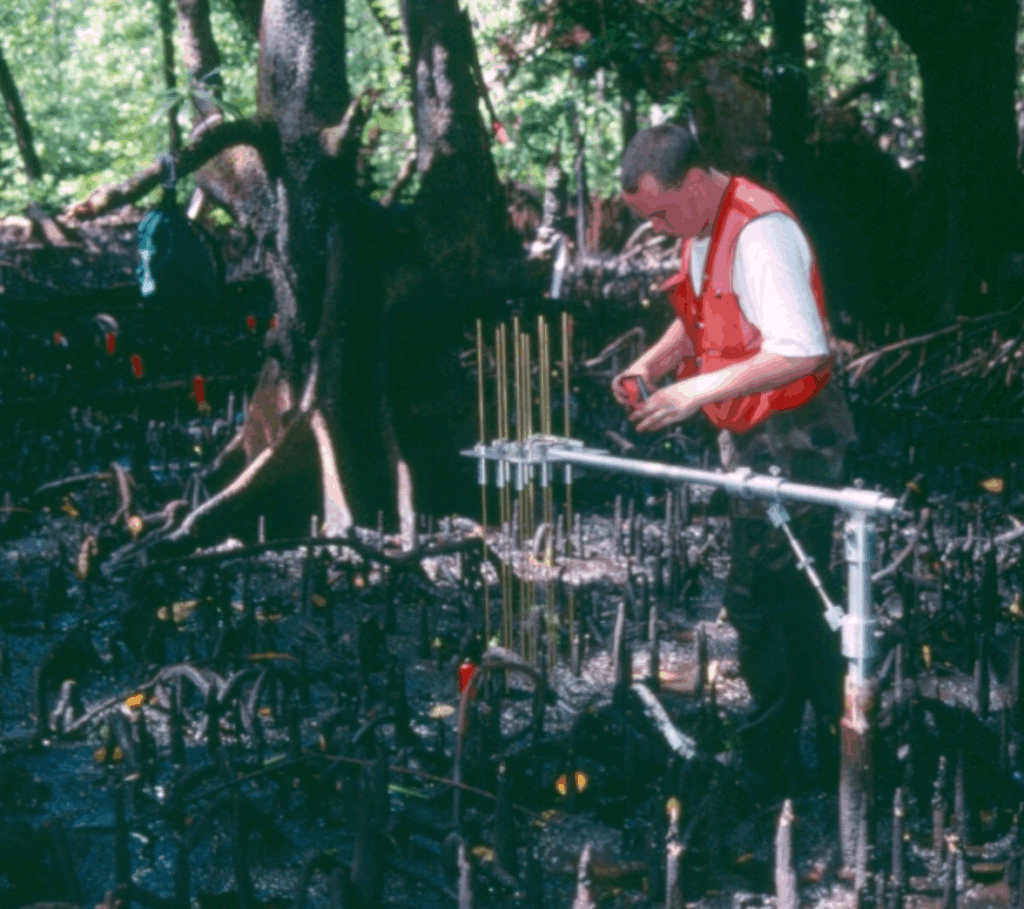 A scientist taking surface elevation measurements