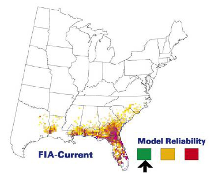 A map of the eastern part of the U.S. showing the current range of slash pine