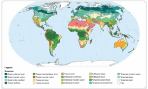 A graphic of the globe sowing the world's ecozones 