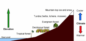 A graphic showing a sloping mountain and temperatures cooling up it