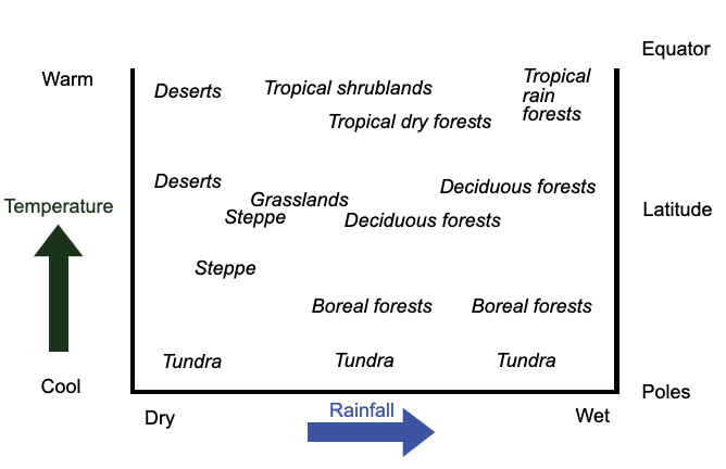 A graphic showing Vegetation types, rainfall, temperature, and latitude.
