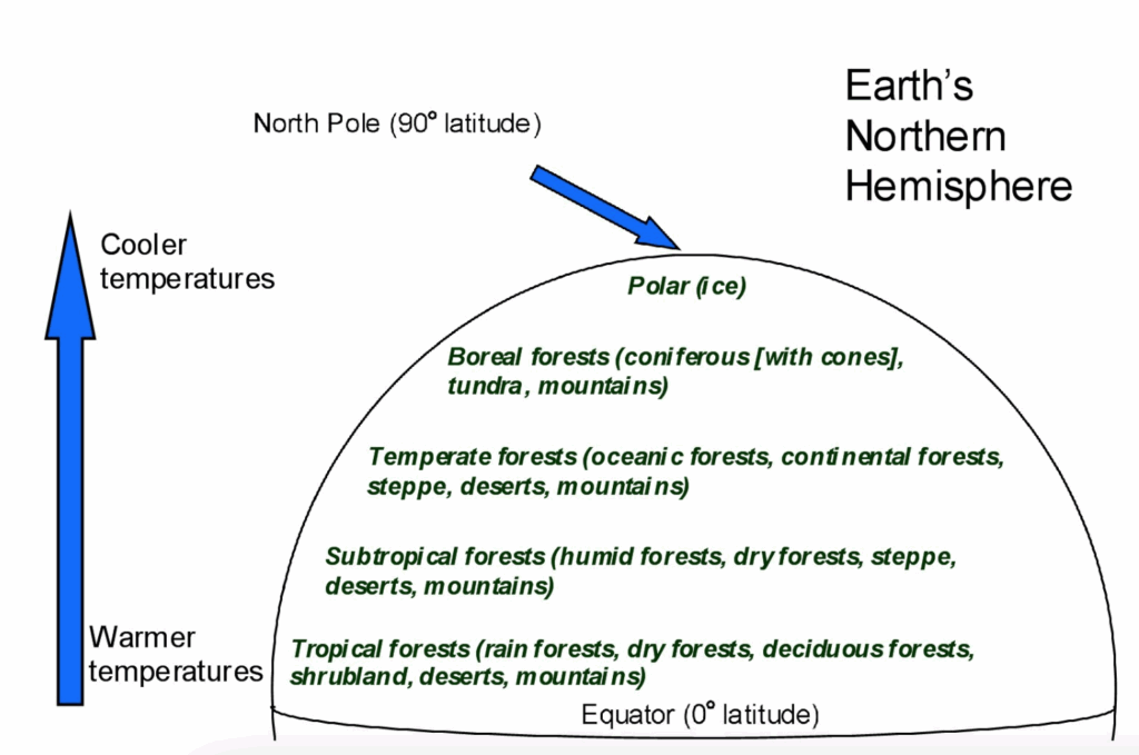 A graphic showing Vegetation types, temperature, and latitude.