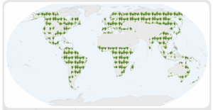 A graphic of the globe showing the location of the World's Forest